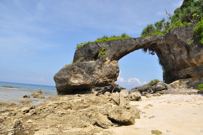 13 natural briedge